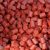 RED PREMIUM Halibut pellets